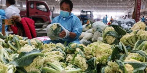 新疆最大农产品批发市场 搭建购销平台 助力本地果蔬销售 图